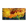Trademark Fine Art Marcia Baldwin 'Sunflower Rise'N Shine' Canvas Art, 10x19 ALI34646-C1019GG